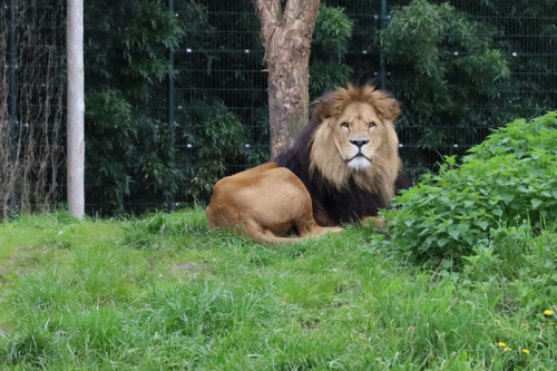 Zoopark119
